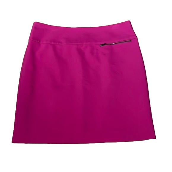 Ann Taylor Dresses & Skirts - Ann Taylor Skirt